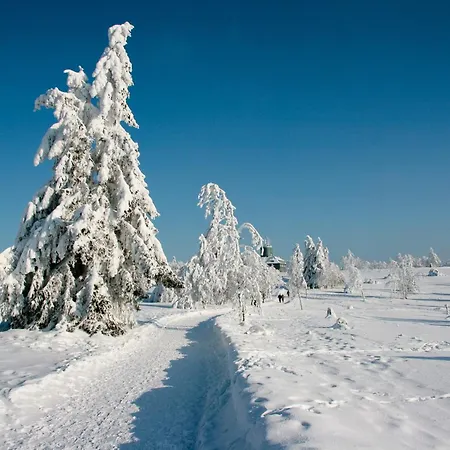 Apartmán Astenpanorama